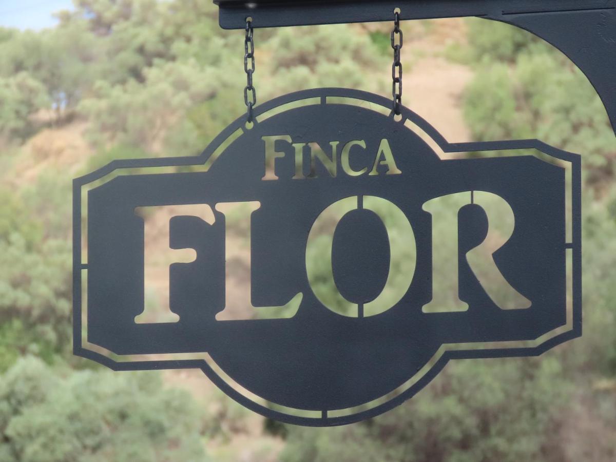 Finca Flor Canillas de Albaida Exteriör bild